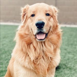 Meet your Posher, Chelsea